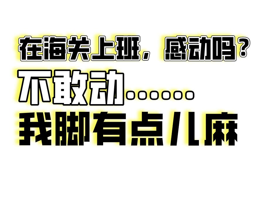 海关工作真实感受,海关上班的真实感受