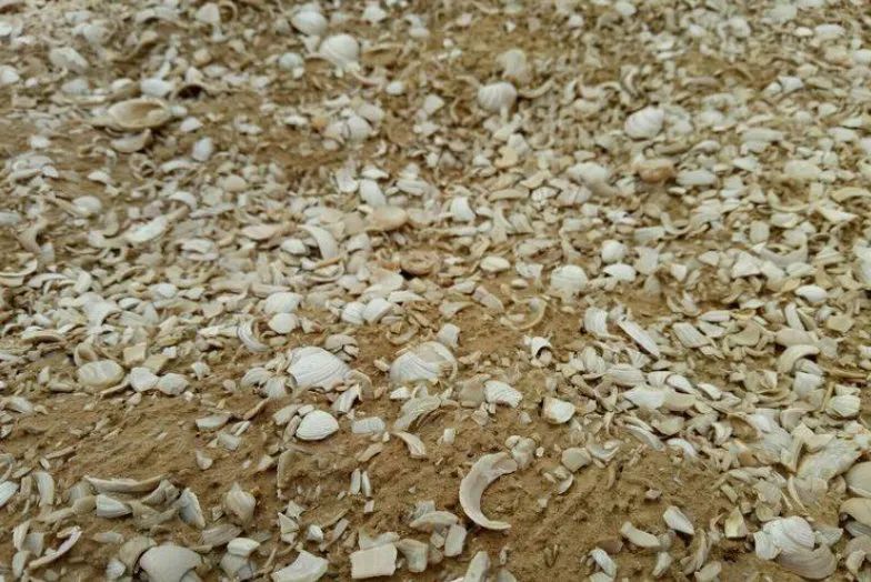 30道测试题,十道题测试你是否真的了解