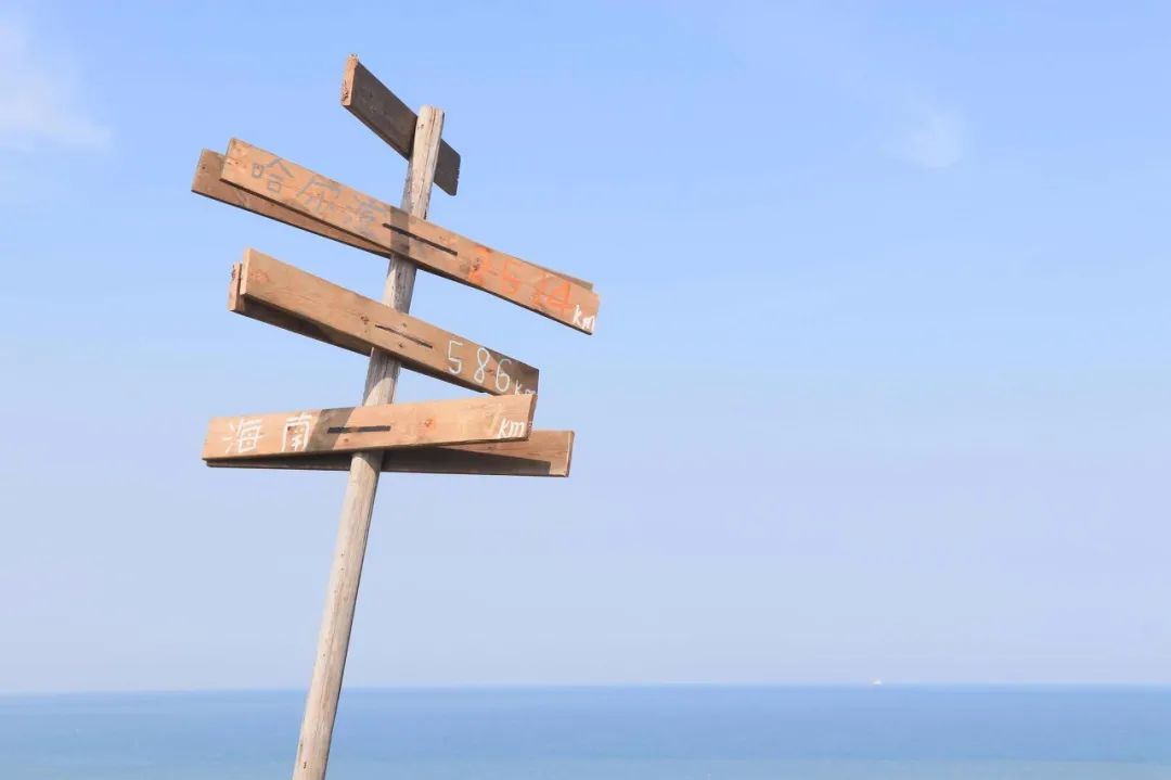 2020年最具收藏价值的公众号,五个有意思的微信公众号