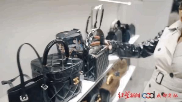 城市星推官,城市星推官是什么