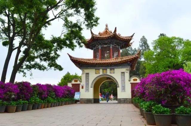 昆明春城风光秀,昆明春城秀小视频