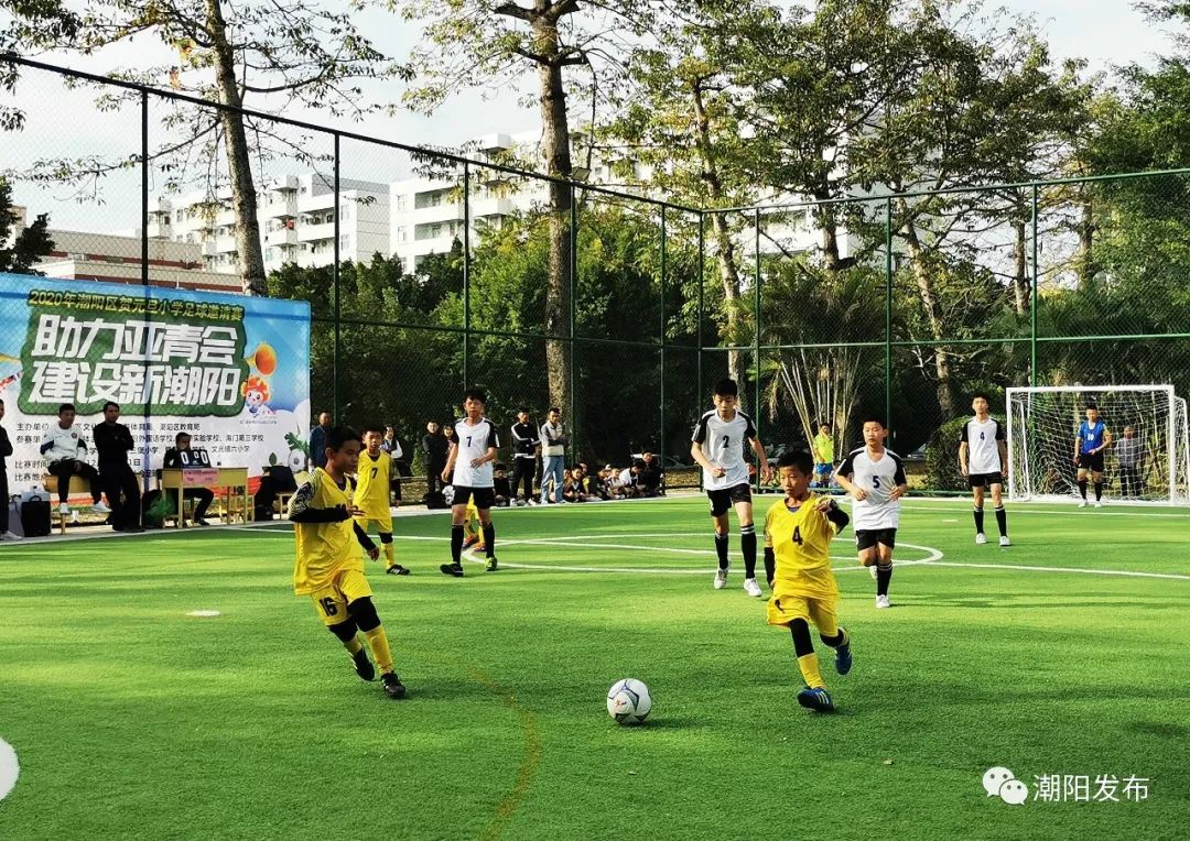 姹曞ご浜氶潚浼氭疆闃冲尯,缁胯尩鐩涘喌