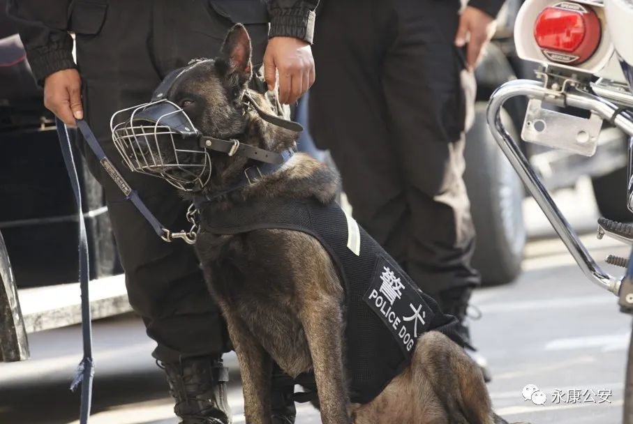 满满安全感！永康公安启动岁末年初治安大巡防