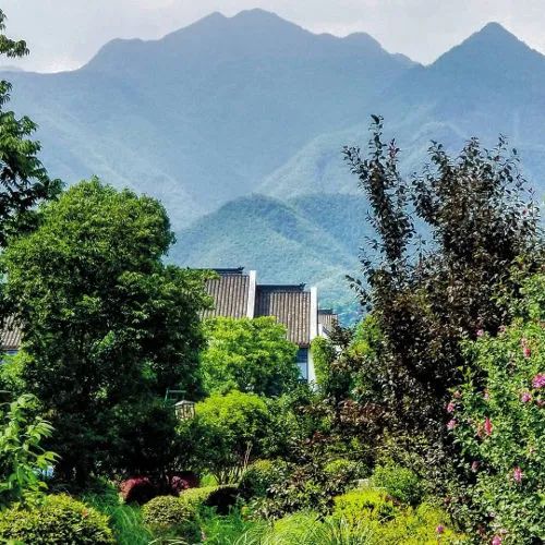 科技爱好者周刊（第139期）：生物学的可怕进展