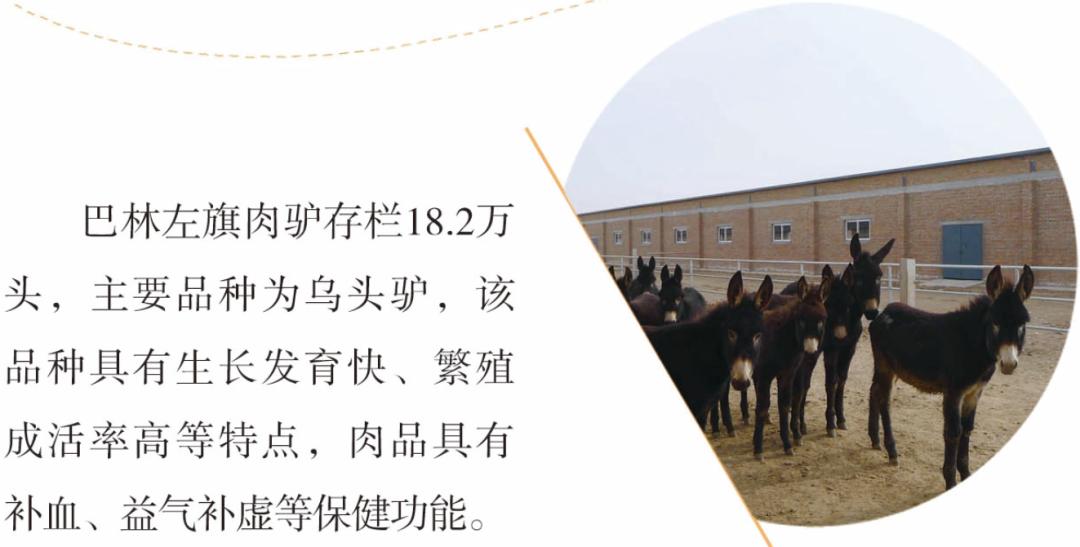 投资巴林,投资热土创业项目