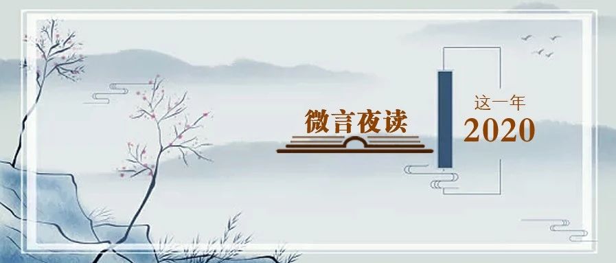 总结2020年，这些成语你会用得到|微言夜读·经典
