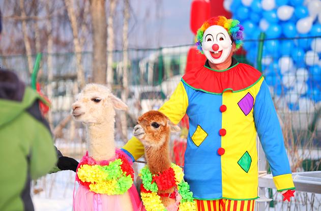 元旦小长假鞍山本地景区欢乐多