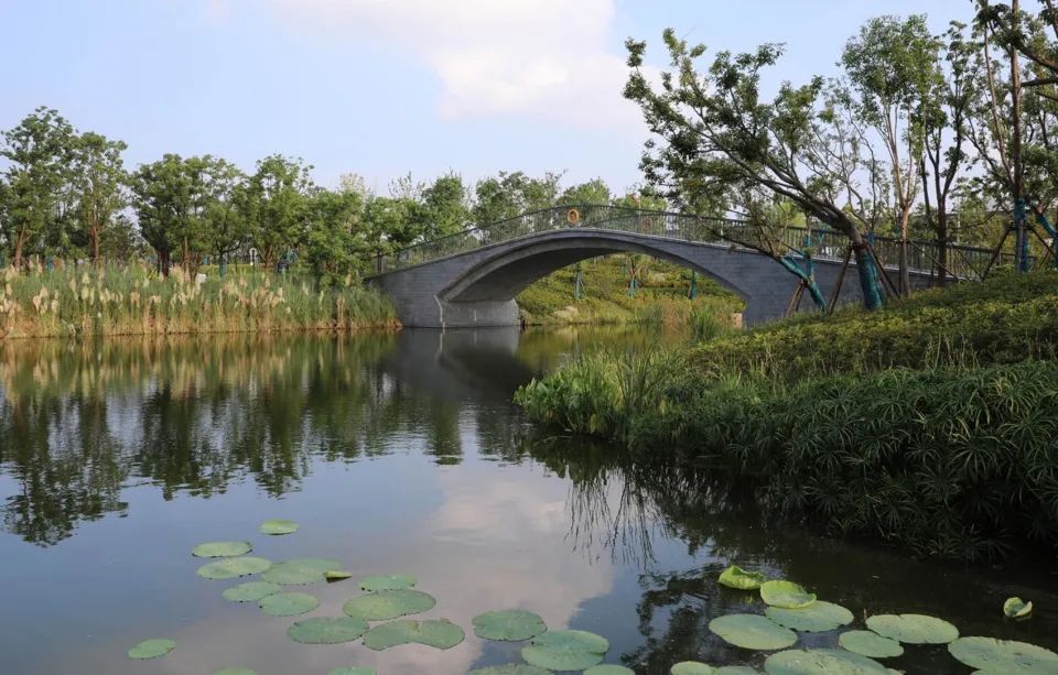 缓解城市热岛效应的措施,缓解城市热岛效应的有效建议