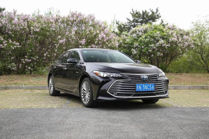 亚洲龙评车主测2.5燃油豪华版,2023款亚洲龙车主真实感受