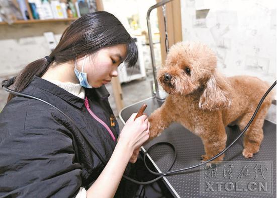 宠物看病贵不贵呀图片,宠物看病为什么那么贵