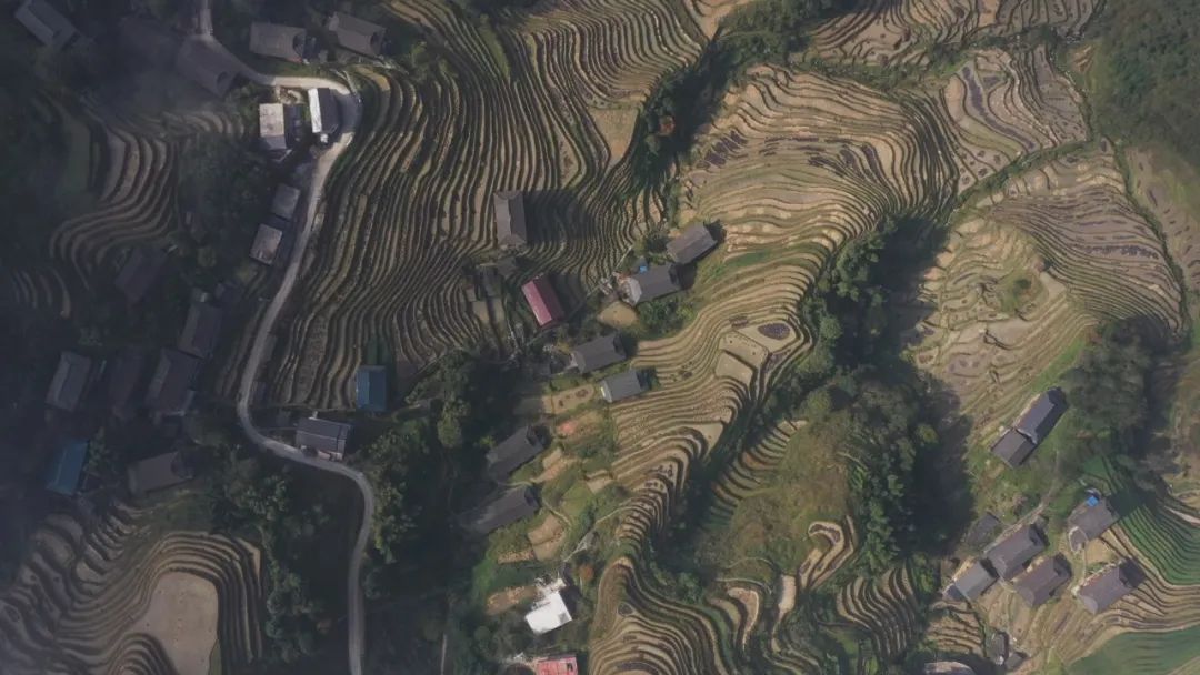 教师坚守初心牢记使命,不忘教师初心坚守三尺讲台