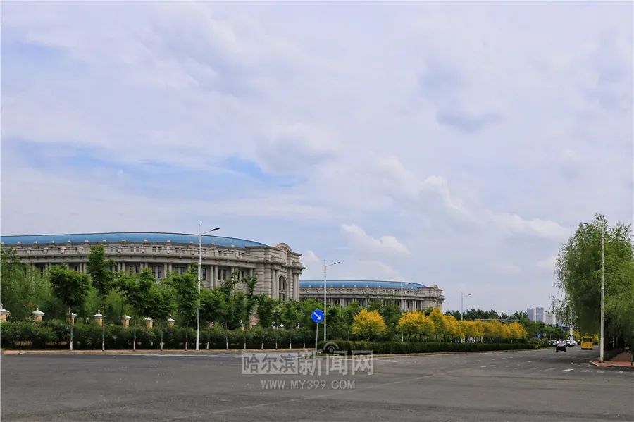 哈尔滨音乐学院公开招聘教师公告,落实编制哈尔滨音乐学院招聘25人