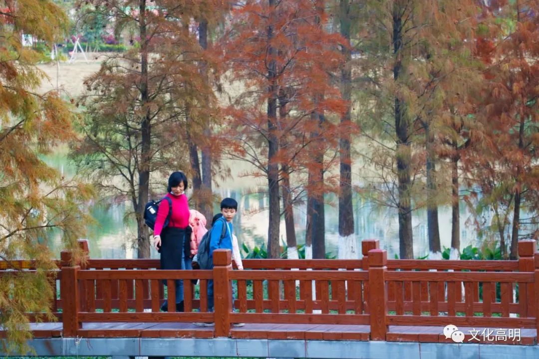 1月最美的佛山藏在这里!全部免费赏!