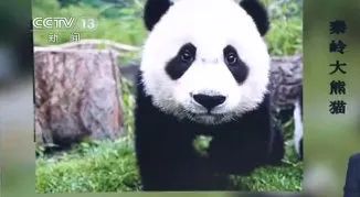 测一测你成为学霸的几率是多少,测一下你是学霸还是学渣的题