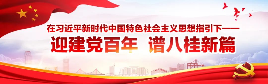 龙圩区村两委换届选举工作,钦州市各村换届名单