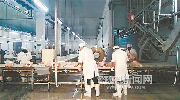 合作养猪加盟哪家最好,养猪的利润与销路