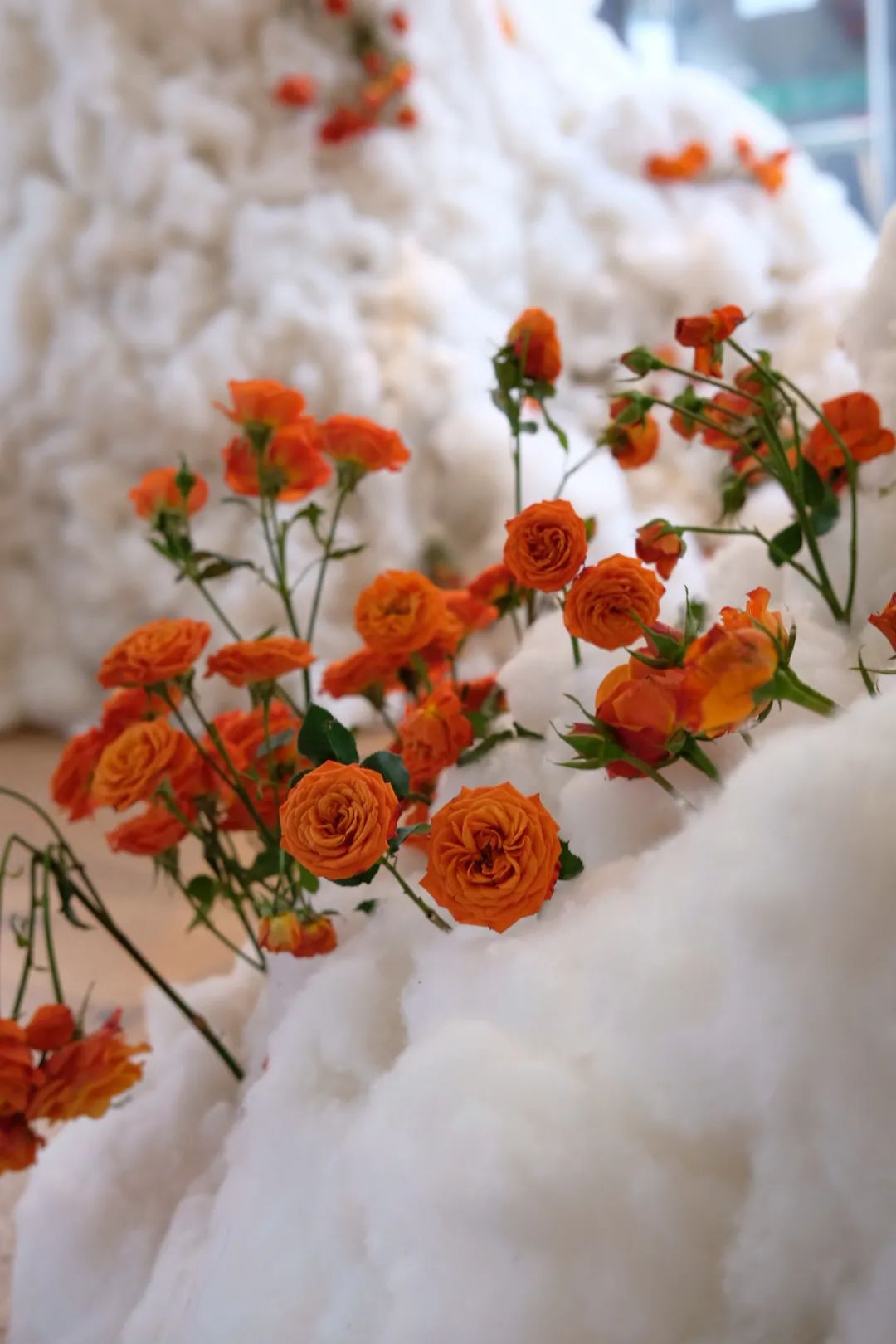 你家楼下的免费展览空间，晒着暖烘烘的太阳散步去吧