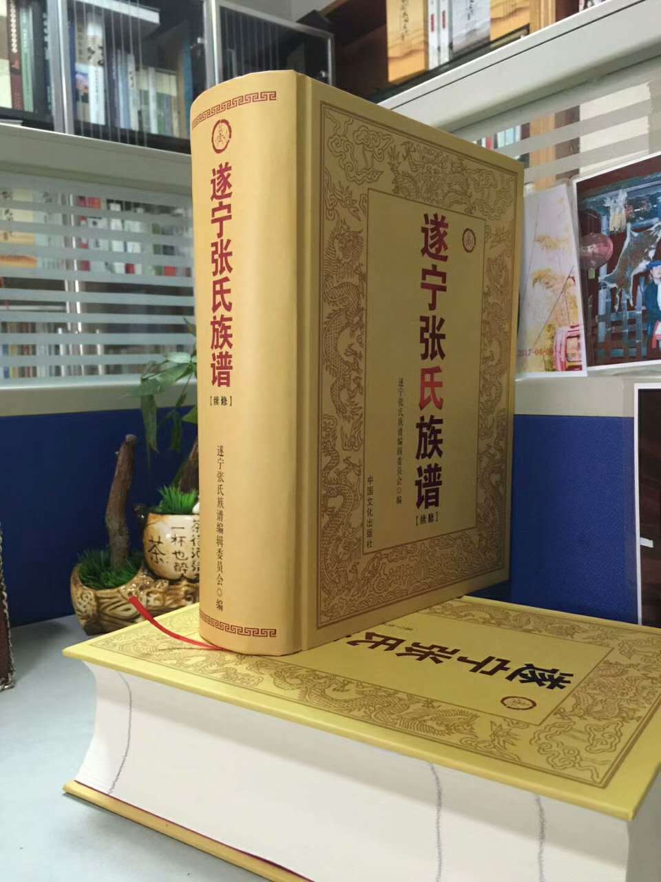 庞波涛,庞波涛简介