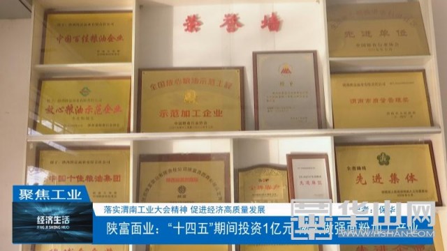 陕富面业发展趋势,陕西陕富面业产量