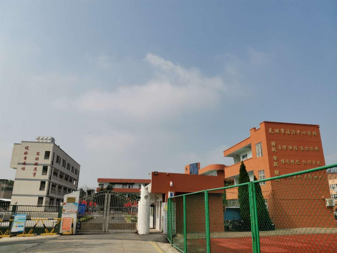 贯彻新发展理念提升县域经济实力,鸠江区十四五发展战略