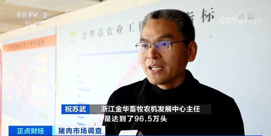 养猪场一头猪赚多少钱,养殖户着急卖猪一头能赚600元