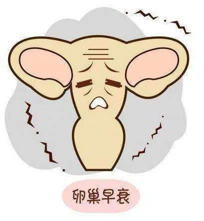 卵巢早衰了，还有机会怀孕当妈妈吗？（之一）