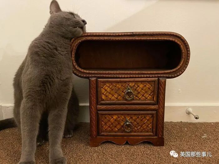 科学家发现从未见过的物体神秘 (科学家无法解释的4种神秘物体)