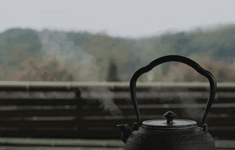 年货太普通，拿不出手？别担心，有了这款5种茶组合茶礼，保管你明年还买他