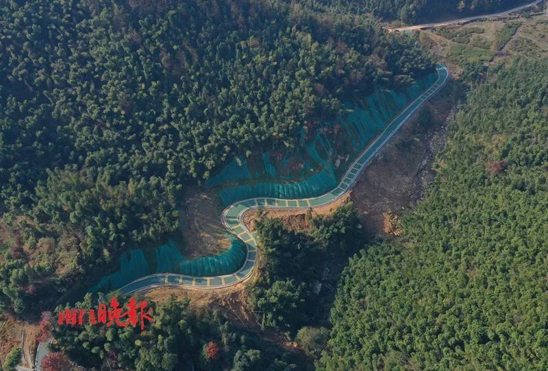 就地过年！南昌送“大礼包”啦！滕王阁、原城纪、凤凰沟……