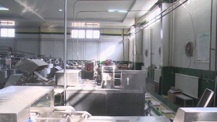 菏泽市成武县：点燃“稳岗就业”一把火力兜民生“保障线”