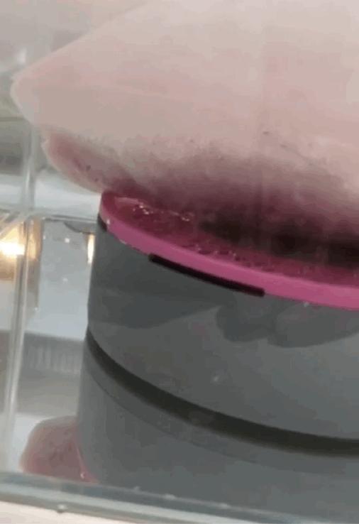 今天直降600！用TA处理食材，再也不怕农残、瘦肉精、添加剂了→