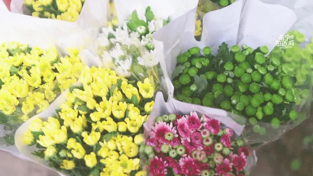 南宁赏花2022,赏花攻略南宁