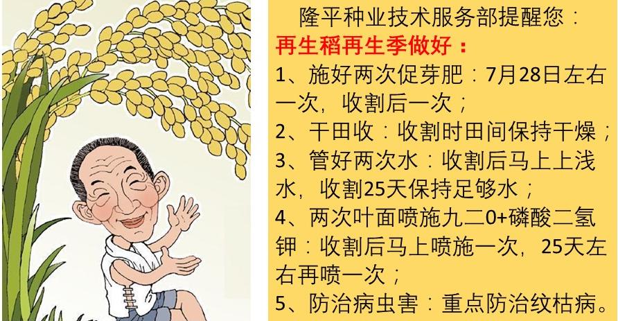 全球十强农业公司名单排名,全球百强企业排行