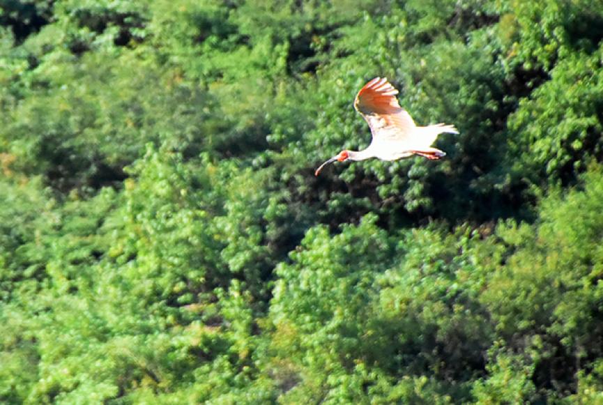 铜川适合干什么,铜川适合干什么生意