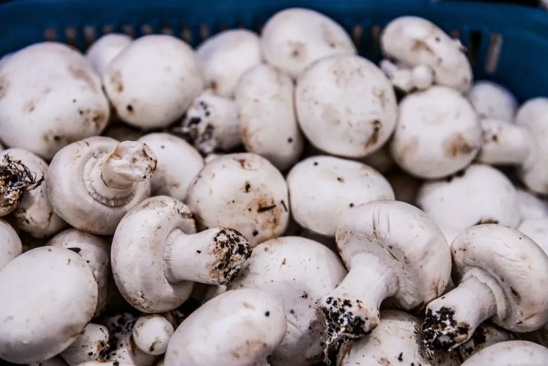 美食荒漠什么意思,美食荒漠大挑战