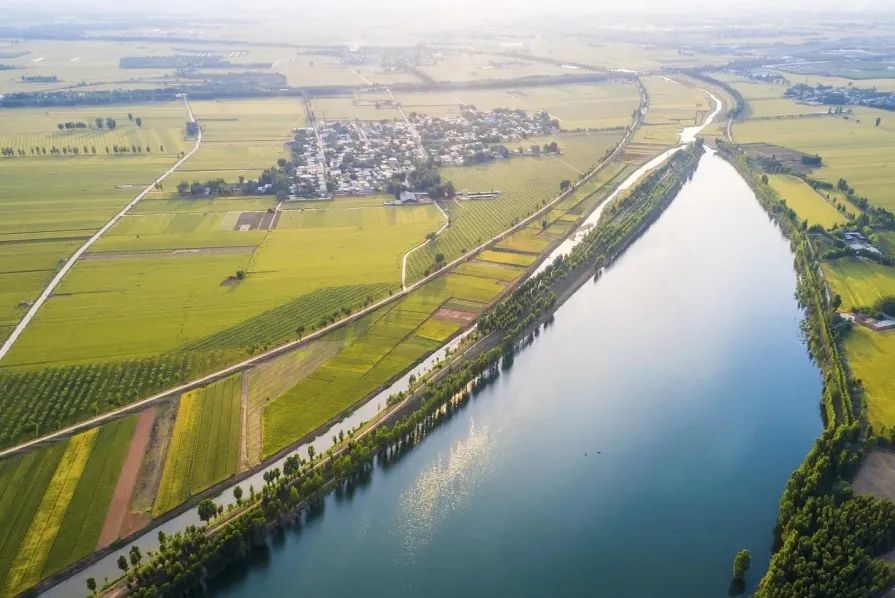 美食荒漠什么意思,美食荒漠大挑战