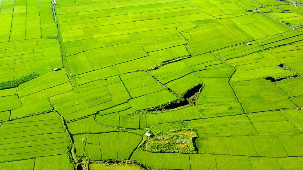 鍙や粖杈夋槧瀹屾暣瑙嗛,鍙や粖浜ょ浉杈夋槧