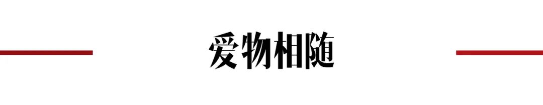 有故事的爱情故事,最好的lovestory
