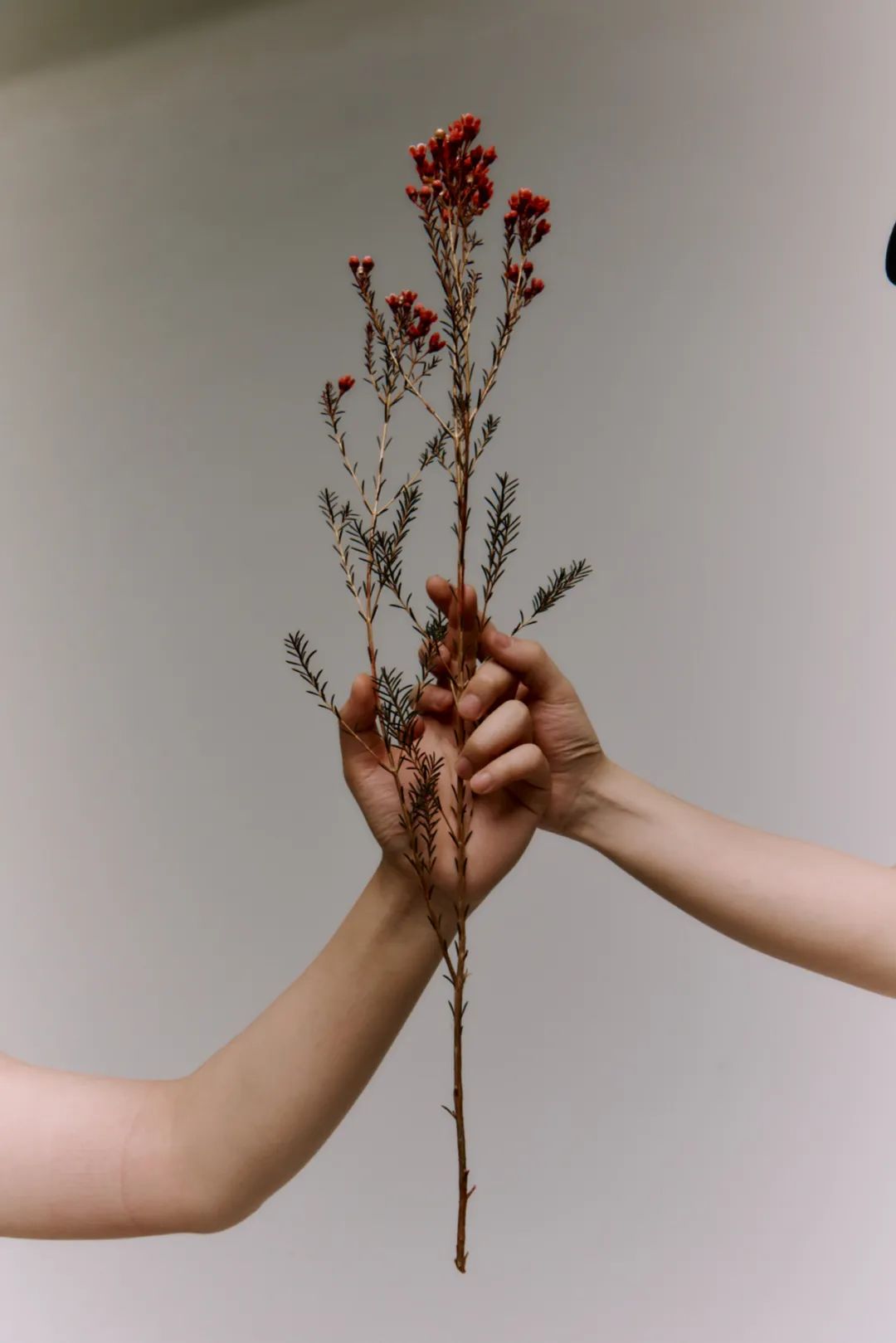 在爱里，继续牵手Handinhand