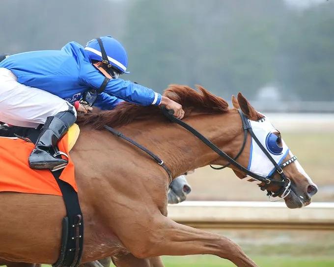 迪拜世界杯战胜阿根廷,世界杯迪拜vs阿根廷