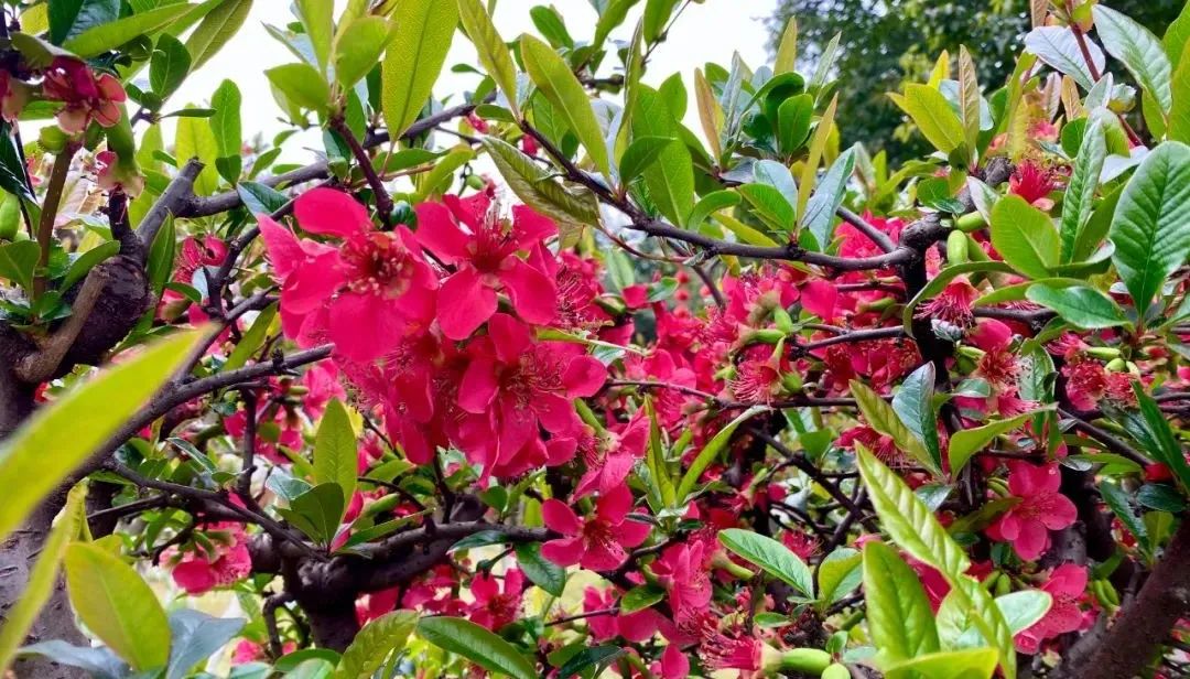 什邡风景好看的地方,什邡附近比较有名的景色