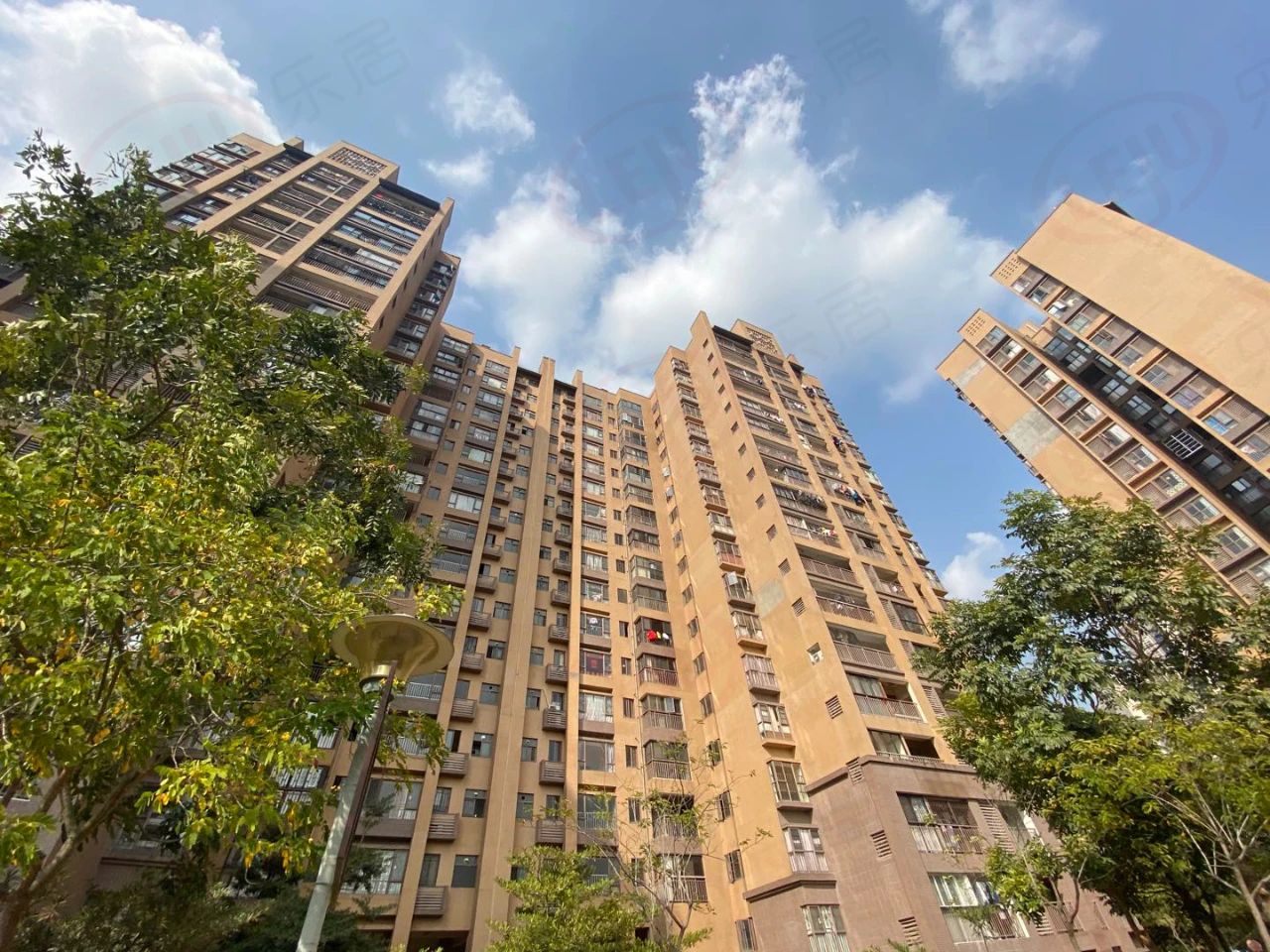 手握3000万,手握300万现金