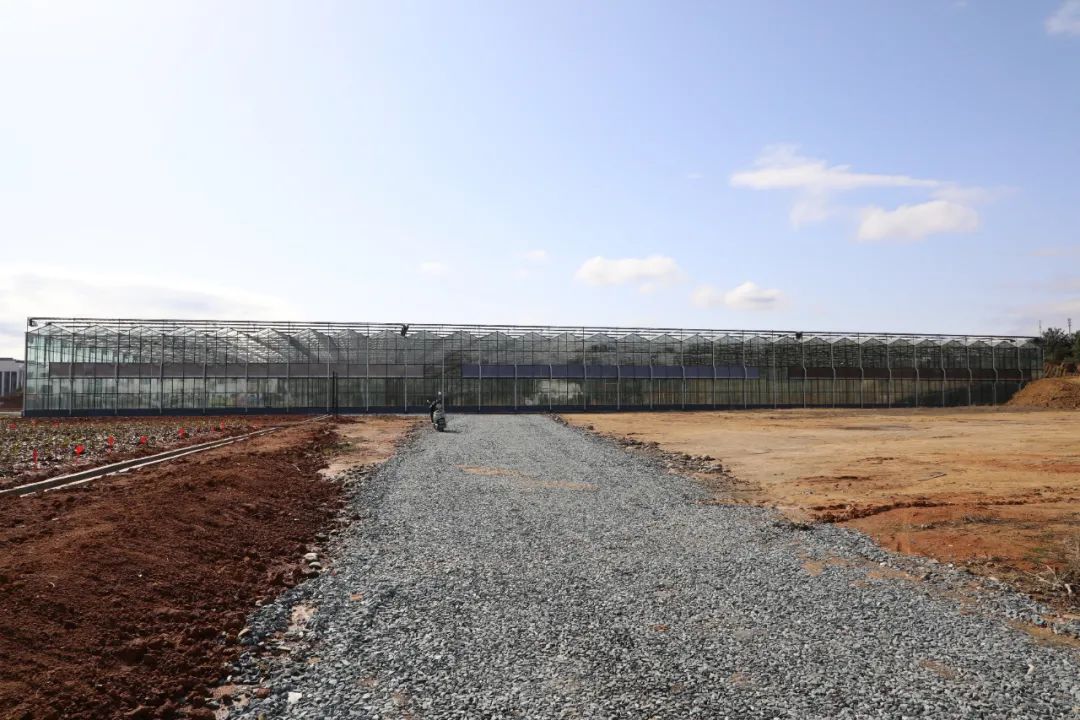 勇立潮头续写华章,勇立潮头继往开来