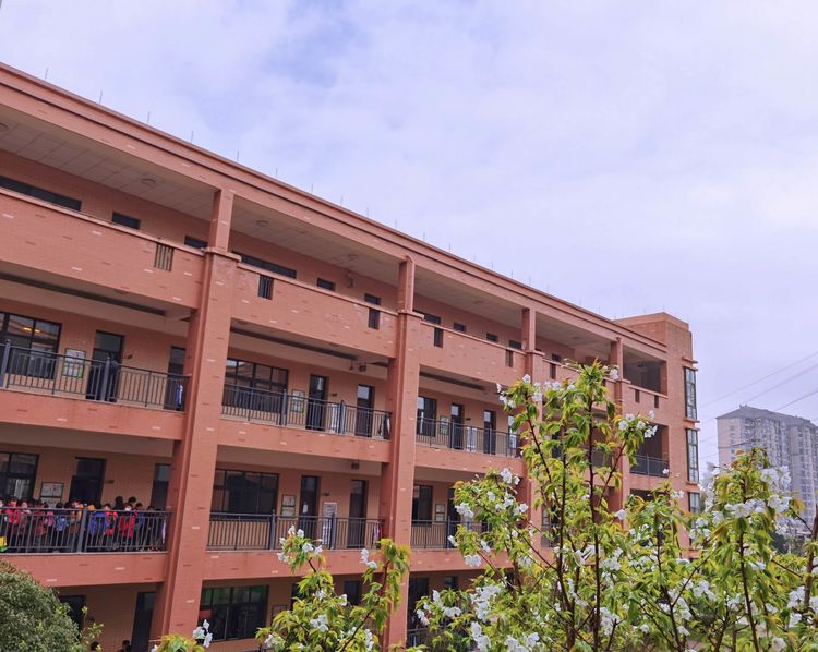 执手春天灼灼其华——咔嚓社最美遇见之寻找校园春意篇