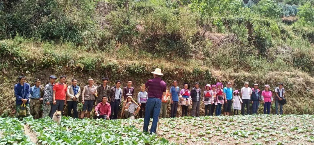备战春耕学习好农业技术,春耕时节育苗忙特色种植促增收