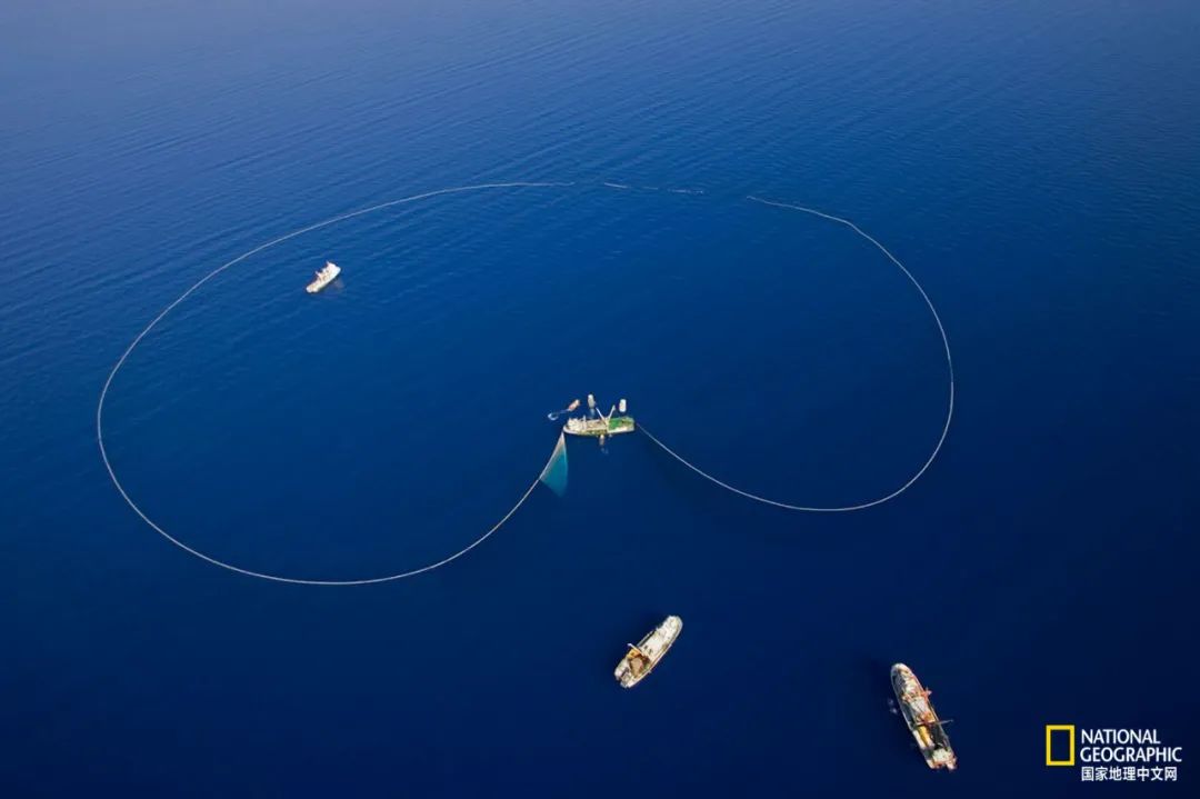 娴疯睔鏈夊瀹夊叏,娴疯睔鍓嶉儴闃叉挒鎻愮ず