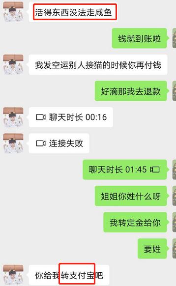 *子骗**又出新套路，可爱小猫沦为「骗钱工具人」