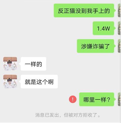 *子骗**又出新套路，可爱小猫沦为「骗钱工具人」