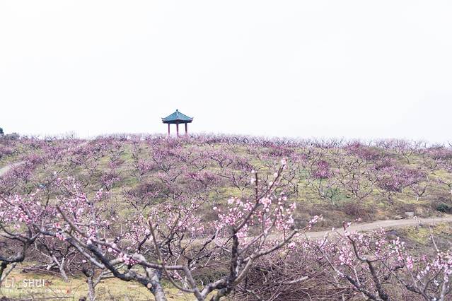 绘画我和春天有个约会,亲子绘画我和春天有个约会