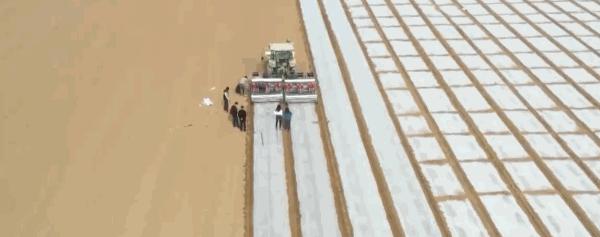 一个人无聊也不知道干什么,一个人好无聊好想干什么